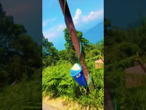 #Ghulam ali #humterasahar #song #music #hearttouching #