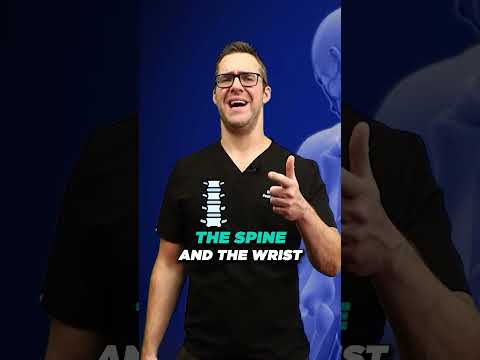 Butcher s Broom Extract Supplement Dosage Side Effects