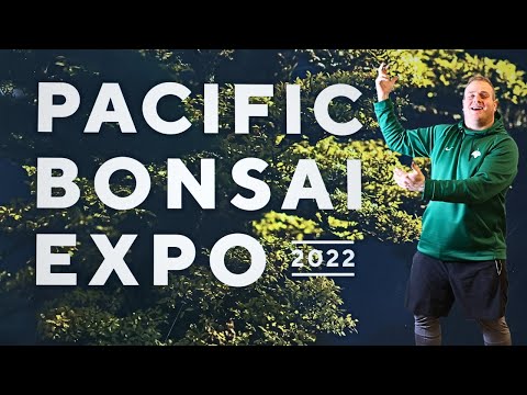Deciduous Favorites from the 2022 Pacific Bonsai Expo