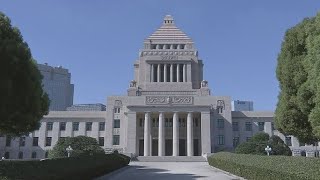 【速報】国旗損壊罪法案が参・内閣委で可決 国民民主党と参政党も賛成
