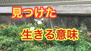 開店ストーリー第3話 ドロップアウトしていいじゃん！山口県周南市 から揚げ
