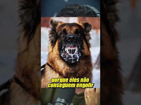 O VÍRUS MAIS MORTAL JÁ CONHECIDO PELA HUMANIDADE