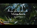 Mato Seco O Que Você Dá Pra Vida Lyric Video