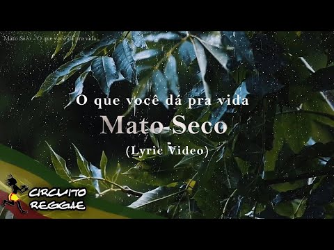 O Que Você Dá Pra Vida - Mato Seco