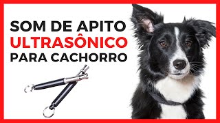 Apito Para Chamar Cachorro - Som de Apito Ultrassônico Para Cachorros
