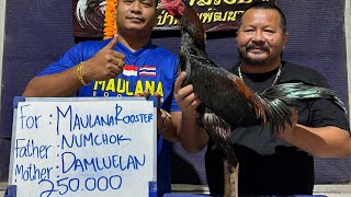 Download lagu VISIT MANOPOTENG FARM IN THAILAND mp3