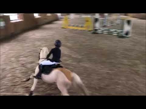 Drzecin 2019 01 27 Hallenspringturnier