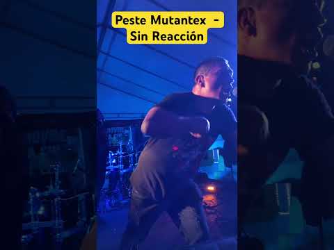 @pestemutantex8152 en vivo en el #FestivalGüiodellago en el Cerrito Valle del Cauca #rockcolombiano