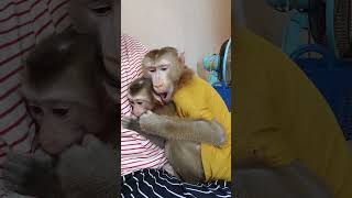 Such hapiness in family