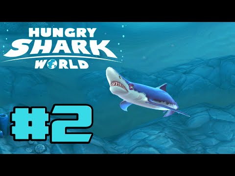 Hungry Shark World #2 | Evolution time ! We are a Blue Shark ! Run Away Barracudas !