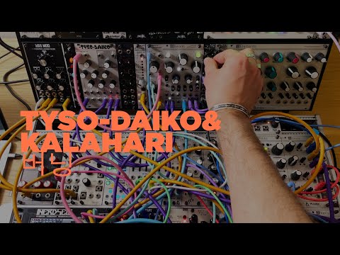 #9 Tyso Daiko Kalahari - Mutable Plaits / Foundation Oscillator / AJH Filter / Mutable Beads