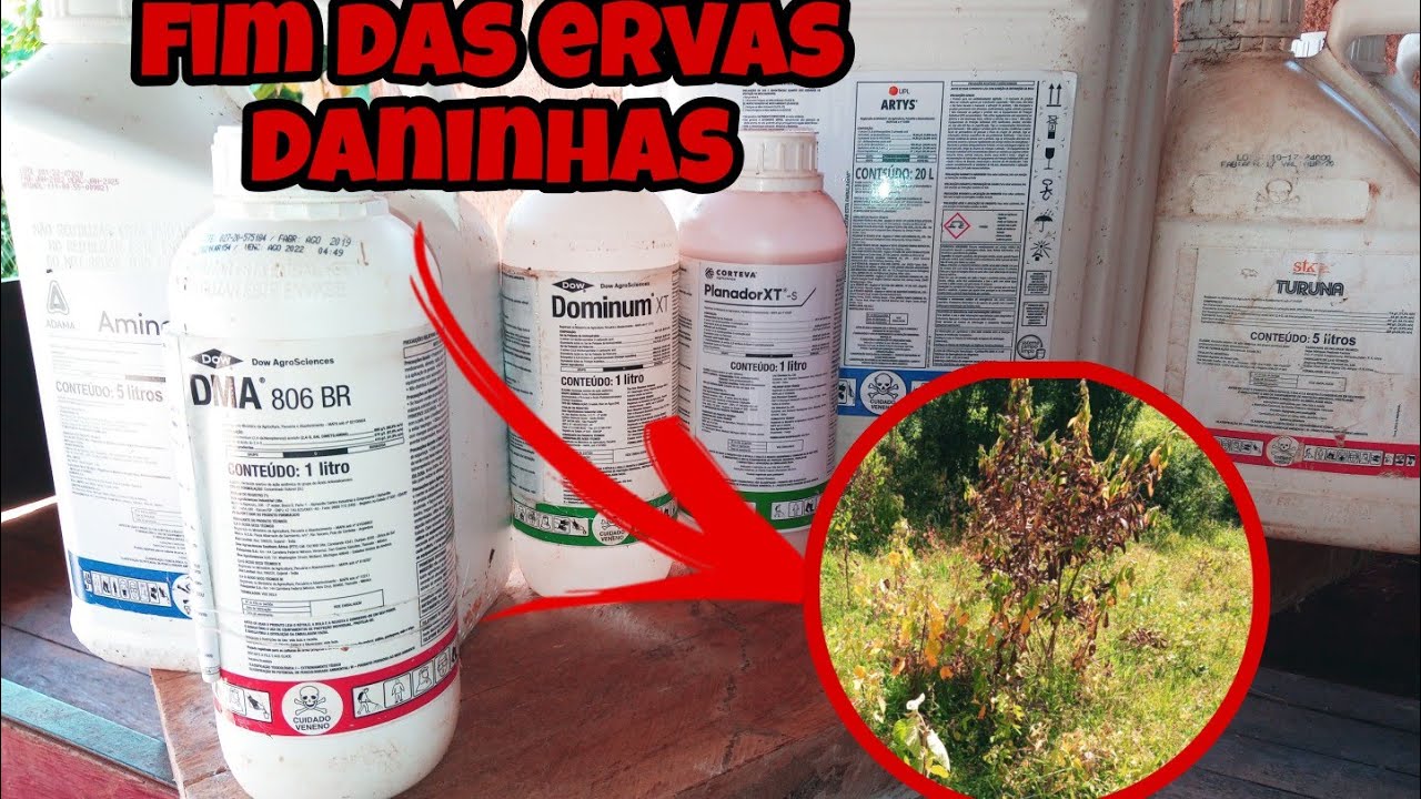 OS HERBICIDAS MAIS EFICIENTES PARA O CONTROLE DE ERVAS DANINHAS DA PASTAGEM