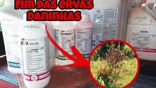 OS HERBICIDAS MAIS EFICIENTES PARA O CONTROLE DE ERVAS DANINHAS DA PASTAGEM