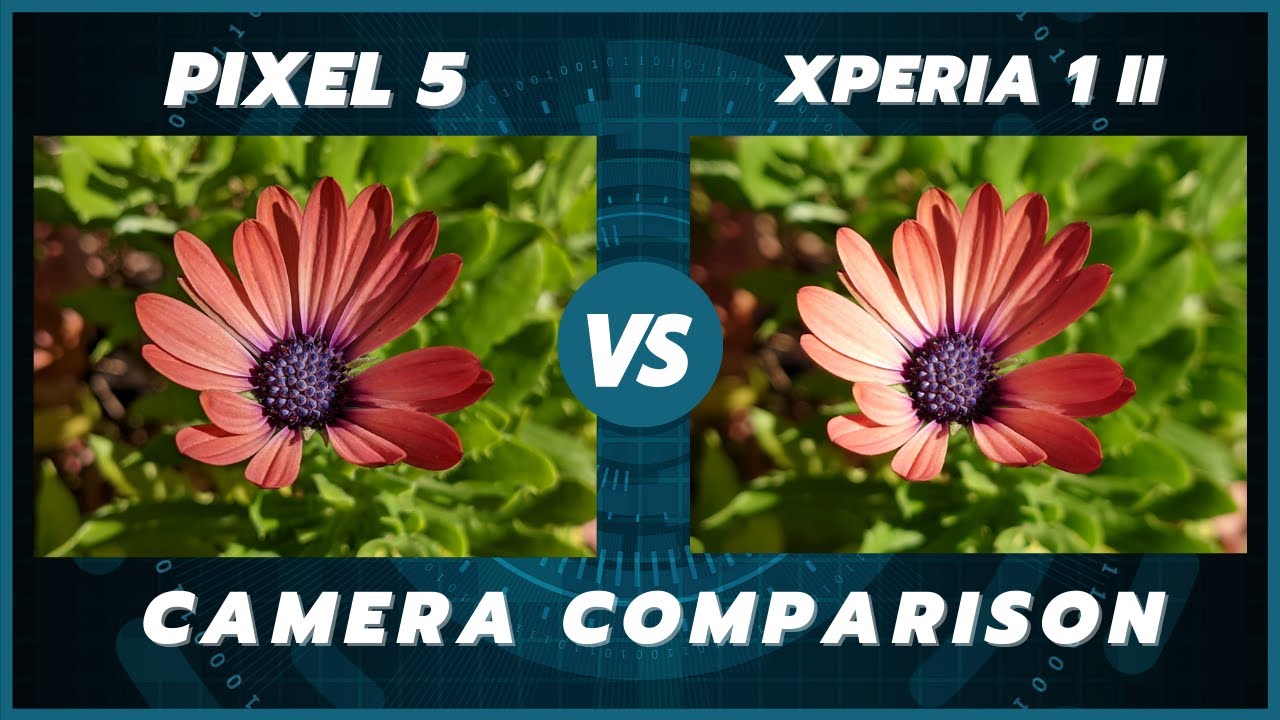 Google Pixel 5 vs Sony Xperia 1 ii Camera Comparison