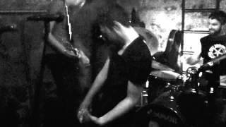 The Riot Before - We Are Wild Stallions (live)