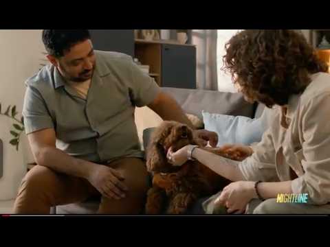 How fare are pet owners going to pamper the pups they call family?