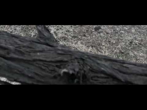 Shraddhanshu Shekhar Lacrimosa