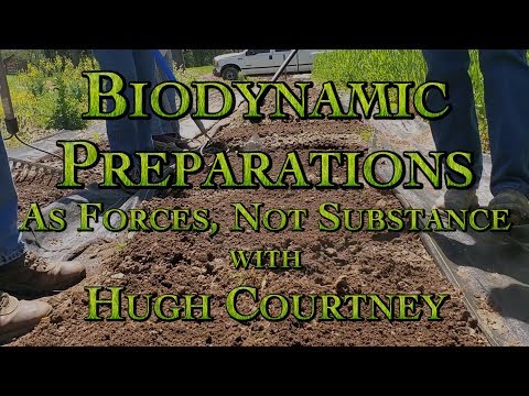 Biodynamic Preparations As Forces, Not Substance with Hugh Courtney