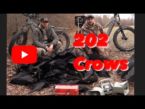 202 Crows In 5 Hours!!!