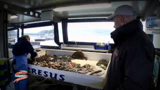preview picture of video 'Cap sur la pêche : Emission n°29 - La pêche à Capbreton'