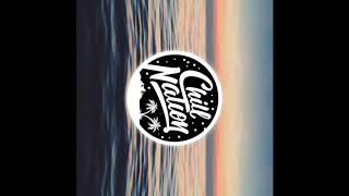 Stanaj-Romantic slowed down