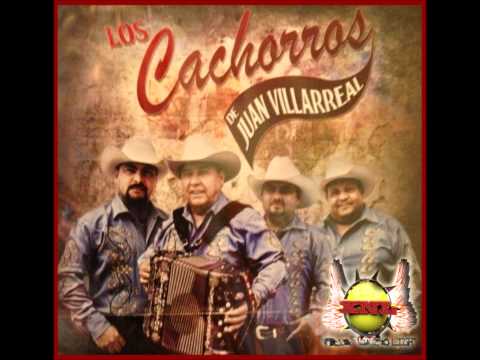 Los Cachorros de Juan Villarreal - La Duda (2013)