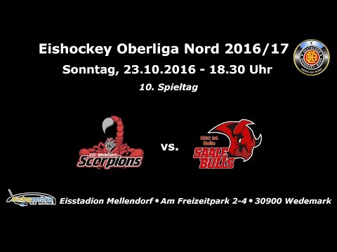 23.10.16 Eishockey Oberliga Nord -  ESC Wedemark Scorpions vs.  MEC 04 Halle Saale Bulls