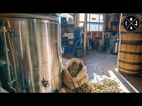 How to Deal with Beer Stone, Adding Minerals to Water, & Dry Hopping & Cold Crashing - Ep.381