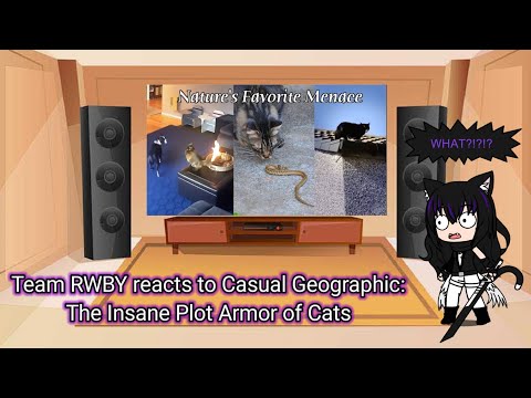 Team RWBY reacts to Casual Geographic: The insane plot armour of cats