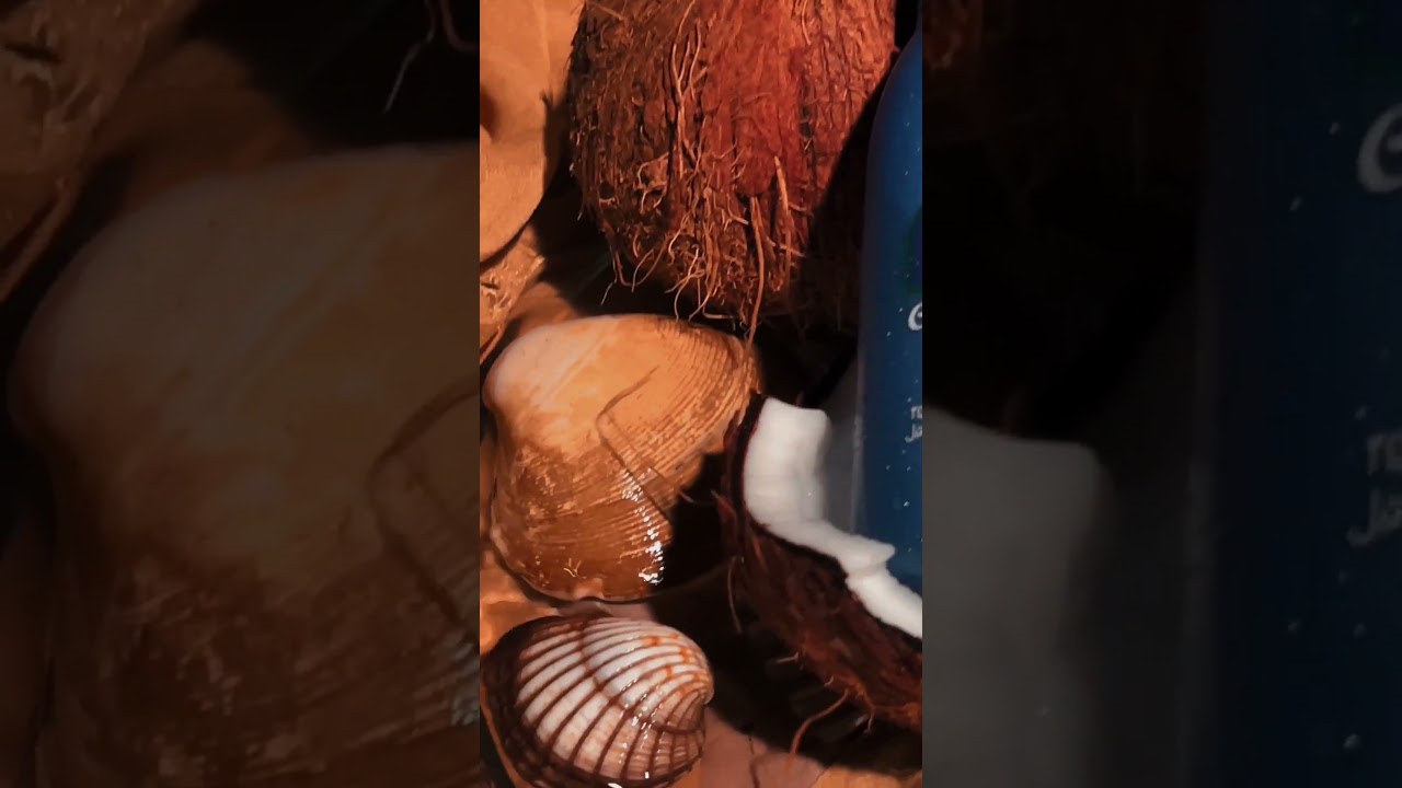 FIAA COCONUT OIL BOTTLE 100ML / 200ML / 500ML