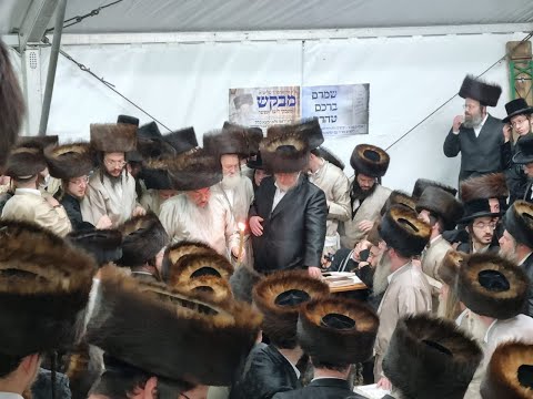 מסע הקודש פון כ"ק אדמו"ר מלעלוב שליט"א אין שטאט לעלוב
