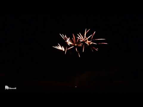 Brothers - Lotsa Love