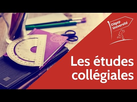 L'influence des parents dans les études collégiales de leur enfant