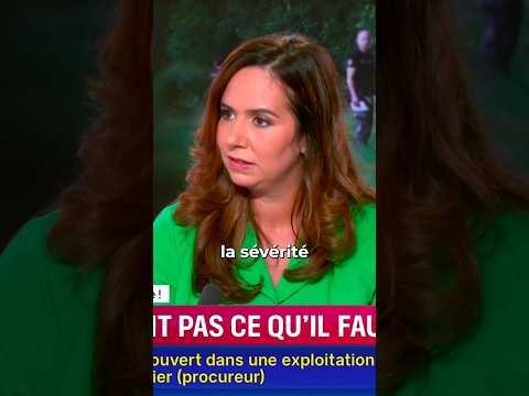 ⚽️ Non, les émeutiers n’ont pas fait « des bêtises » !