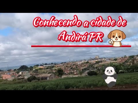🐼 O MELHOR DESTINO É A CIDADE QUE A ESTRADA NOS APRESENTA - ANDIRÁ PR 🐶