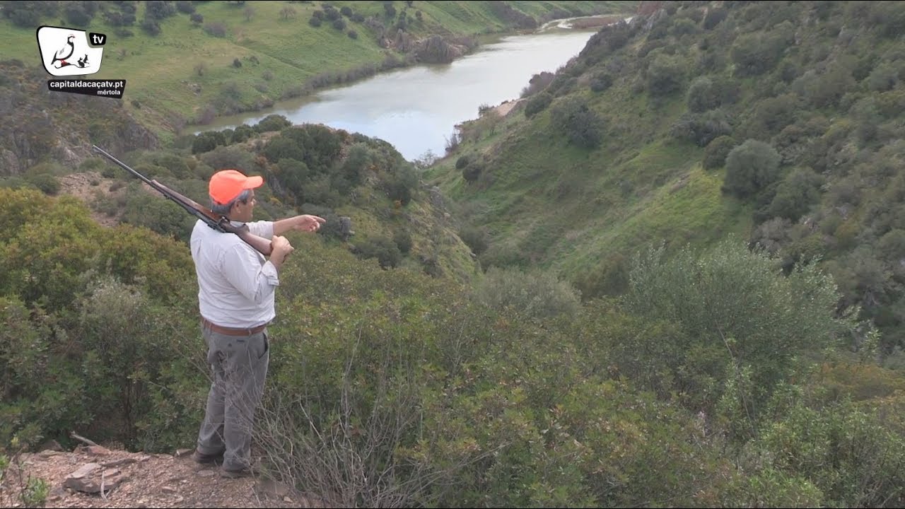 Montaria da Portela da Brava
