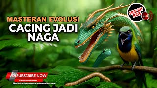 Download lagu 🔴 Live Masteran Pencetak Handal Cacing bisa Menjadi Naga Dengan Masteran Ini - Materi Cucak Cungkok mp3 Download lagu 🔴 Live Masteran Pencetak Handal Cacing bisa Menjadi Naga Dengan Masteran Ini - Materi Cucak Cungkok mp3