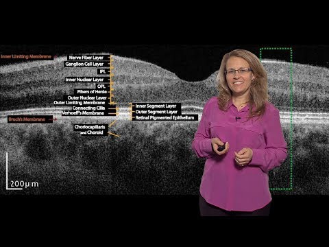 Bench to Bedside: Ciliopathies and Retinal Degeneration, Part 2 - Jacque Duncan