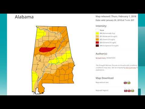 February 1, 2018 Weather Xtreme Video - Afternoon Edition