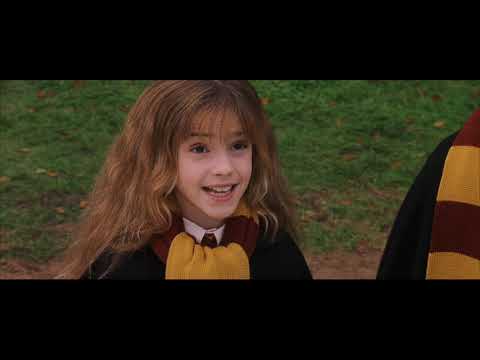 Harry Potter and the Sorcerer's Stone (2001) -  Nicholas Flamel Scene