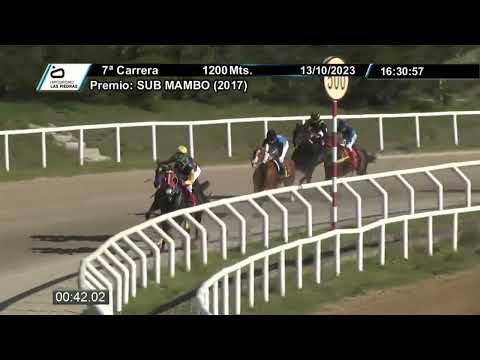 231013 c07 - LITTLE CLOWN - HIPODROMO LAS PIEDRAS