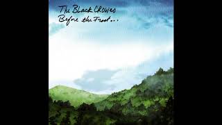 The Black Crowes -- I Ain&#39;t Hiding