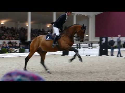 DSP Araldik (v. Askari-Heraldik xx-Amethyst) Hengstschau Bon Homme 2017