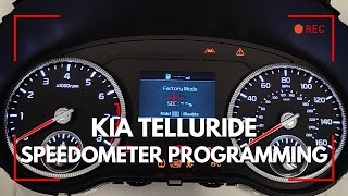 2020-2025 Kia Telluride Instrument Cluster: Blank Screens, Recalls, and