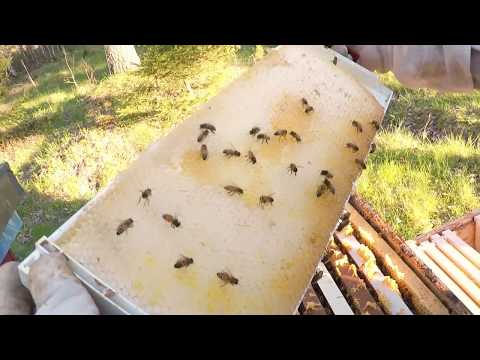 avläggar kontroll20 maj