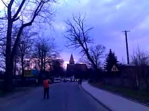 15.04.2010 LUSOWO wycinka drzewa ul. Ogrodowa