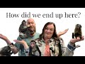 How We Ended Up Where We Are With 5 Monkeys🩵 Monkeys Spidermonkey Capuchin Family