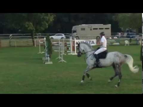 Cubanita (Cassus x Stakkato) M** Babenhausen