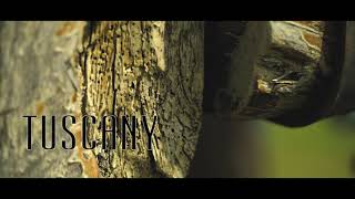 Tuscany Lyrics English Translation