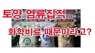 토양에 염류집적 원인, 화학비료 때문이라고?(염류집적이란? 염류집적 피해, 염류집적 측정방법, 토양검사, 염…